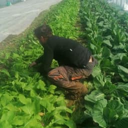 Vincent HULIN Vincent HULIN #3