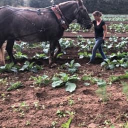 Domaine agricole de Valle Domaine agricole de Valle #5