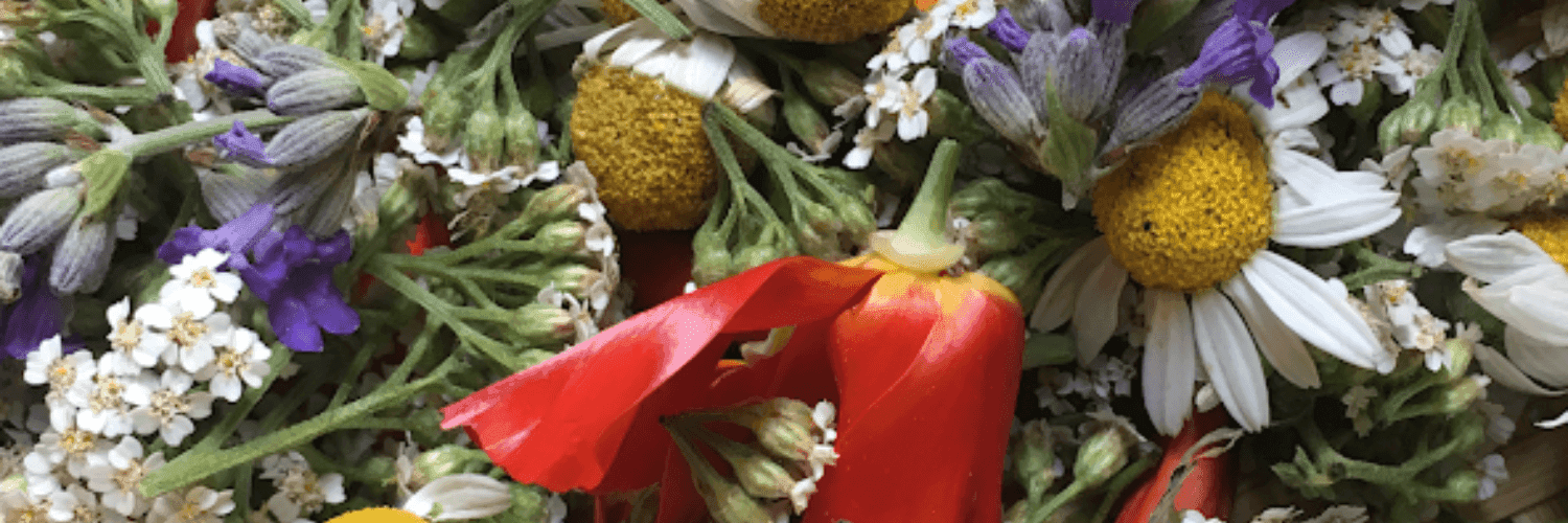 Bannière de Les Saveurs de Kristofine