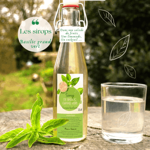 Sirop de Basilic Grand vert