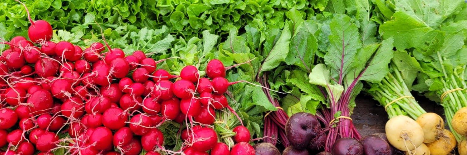 Bannière de Les Jardins de Kerhardic