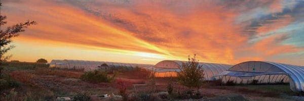 Bannière de Les Jardins d'Isade