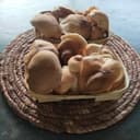 Shiitaké Bio - Barquette