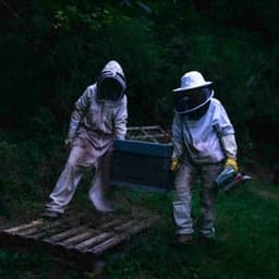 Le miel des mutines Le miel des mutines #2