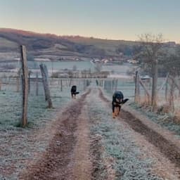 Aux vergers des volailles Aux vergers des volailles #8