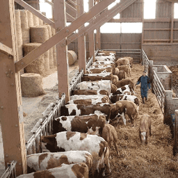 Ferme Guillaume Legoy Ferme Guillaume Legoy #3