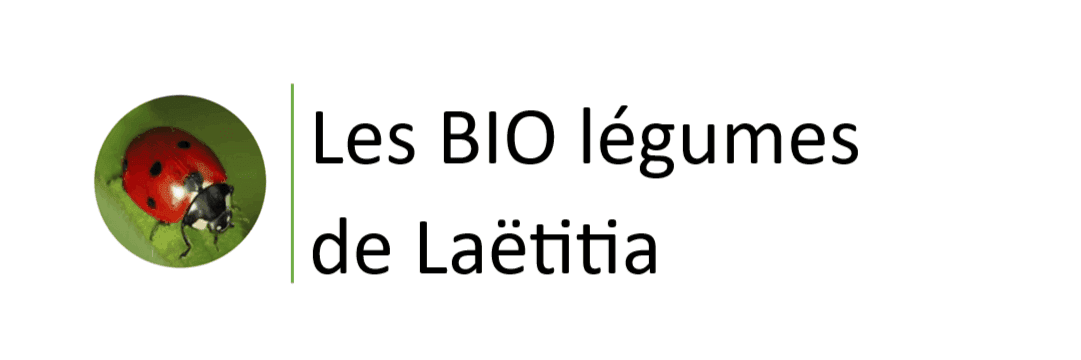 Bannière de les bio légumes de Laëtitia