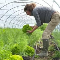 Les Jardins de Falune Les Jardins de Falune #3