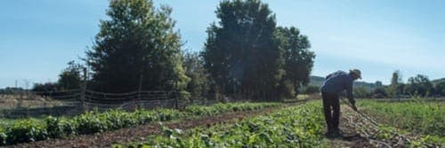Bannière de Les Jardins de Peyras