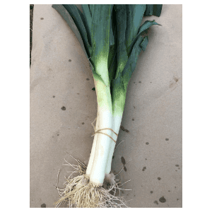 Poireaux