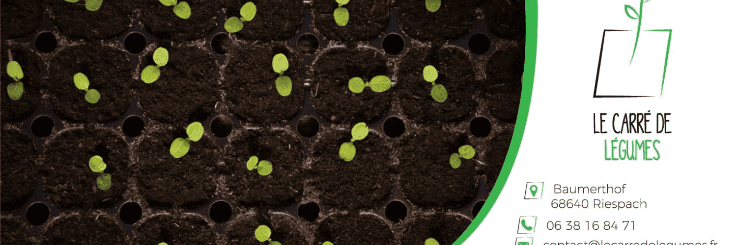 Bannière de Le carré de légumes