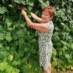 Lesjardinsdupaty Lesjardinsdupaty #0