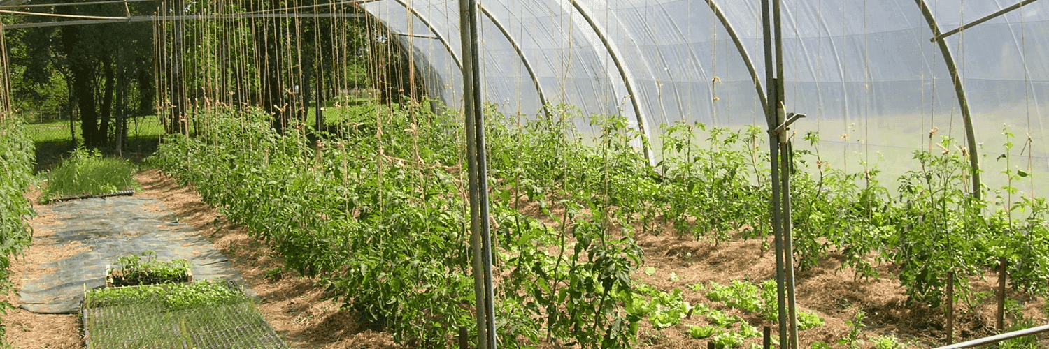 Bannière de le jardin de la forêt