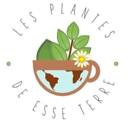 LES PLANTES DE ESSE TERRE LES PLANTES DE ESSE TERRE #6
