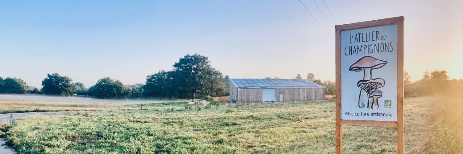 Bannière de L'atelier des champignons