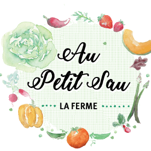 Au petit Sau