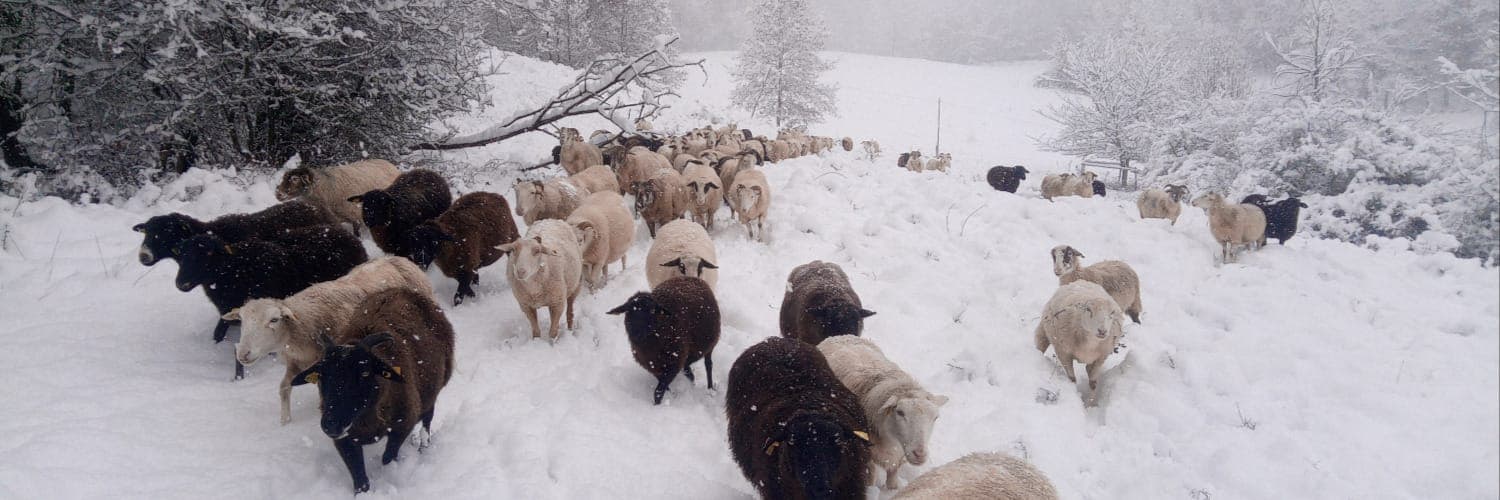 Bannière de Les Fontanelles