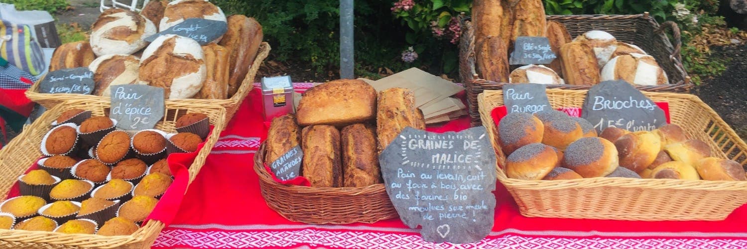 Bannière de Graines de Malice
