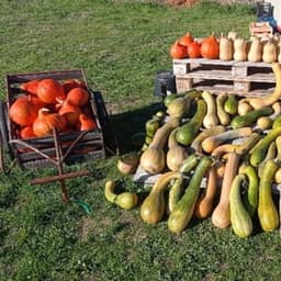 Les Pas Possibles Les Pas Possibles #2