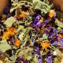 Tisane Corps Fleuri - Sachet craft