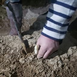 GAEC de la Romane GAEC de la Romane #5