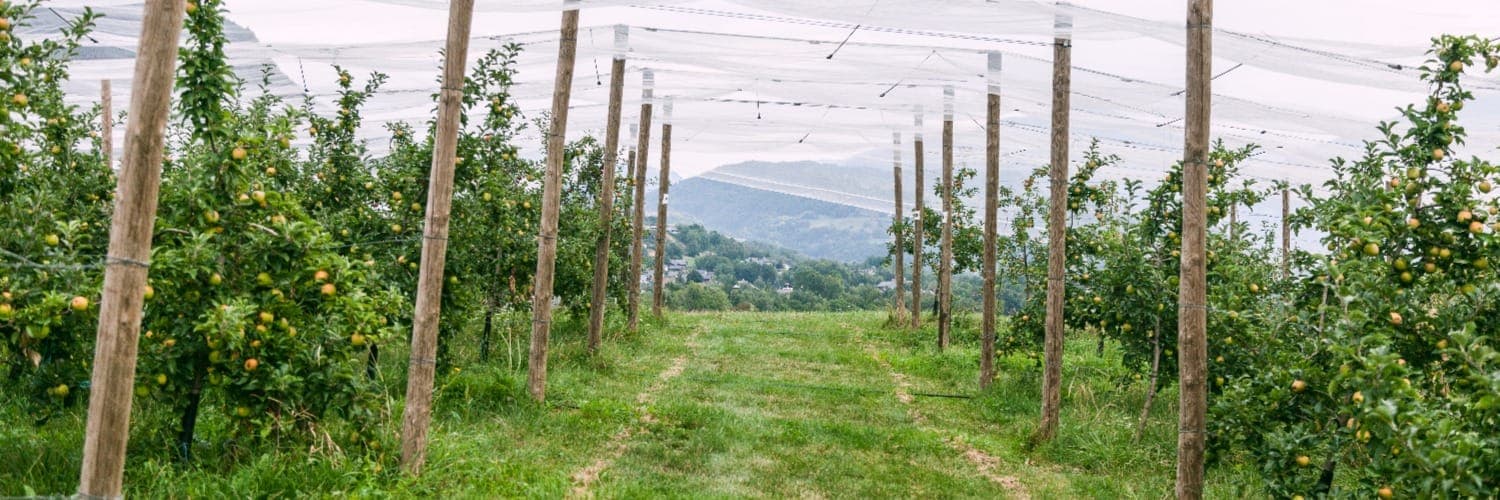 Bannière de La Ferme du Coteau