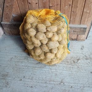 Pomme de terre Marabel