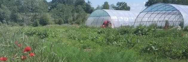 Bannière de Lesjardinsdupaty