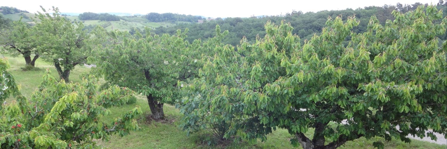 Bannière de Bio des coteaux