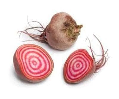 Betterave Chioggia