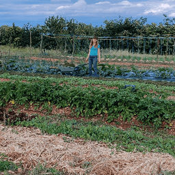 ferme du rougequeue ferme du rougequeue #3