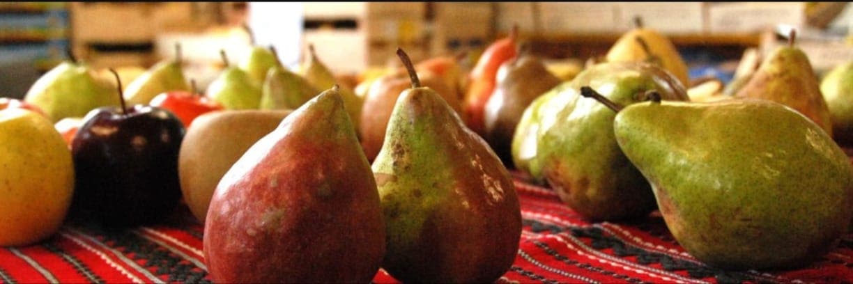 Bannière de Fruits du Vernat