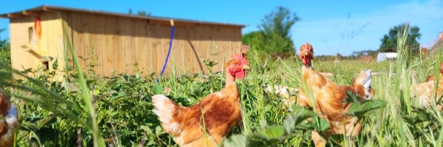 Bannière de Ferme du Caillaud