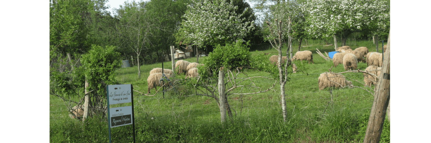 Bannière de La Ferme d'en Fas