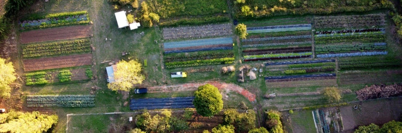 Bannière de Ferme Racine