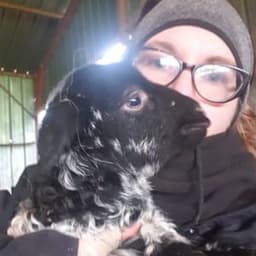 La Ferme du Guéoir La Ferme du Guéoir #5