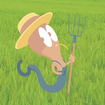 Logo de Ferme du Ver Tou'Bio - Paysans du Vignoble