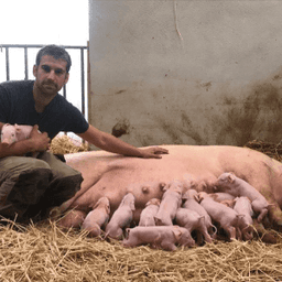 GAEC de la Perche GAEC de la Perche #2