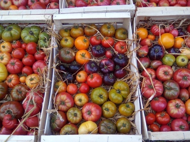 Bannière de La ferme du Conservatoire du Gout
