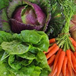 Domaine agricole de Valle Domaine agricole de Valle #7