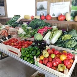 Lesjardinsdupaty Lesjardinsdupaty #4