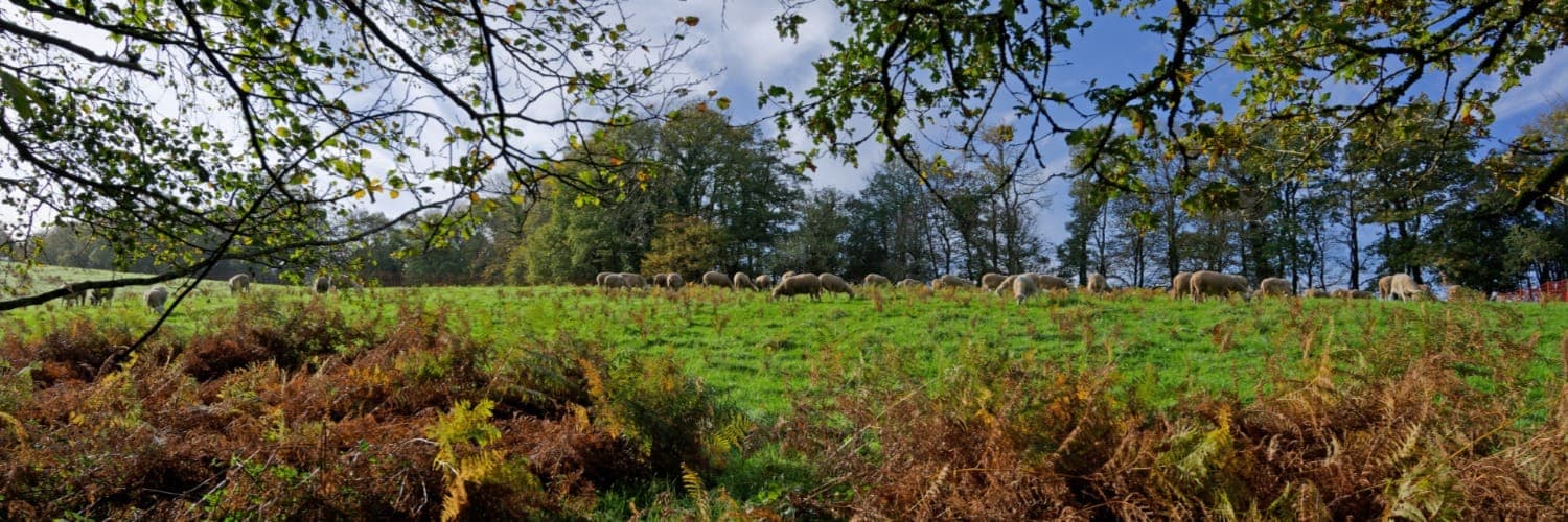 Bannière de Ferme de Grell Wenn