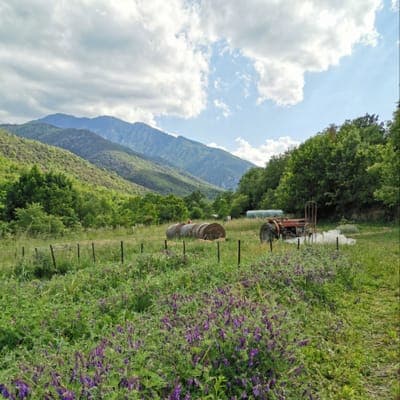 Logo de "Les demains dans la terre" - Eyne