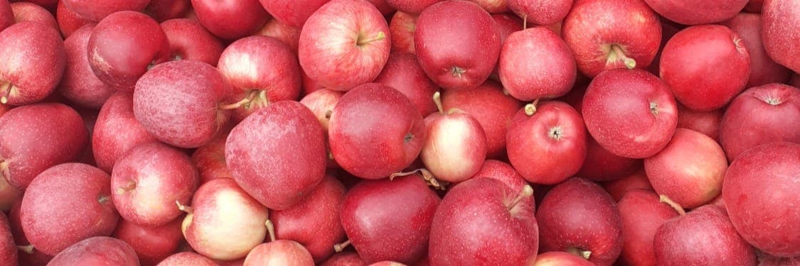 Bannière de EARL DELICES DE POMMES