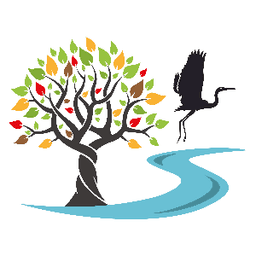 Eric Cottineau Eric Cottineau #1