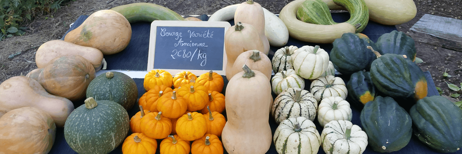 Bannière de La Bioferme de St Aubin
