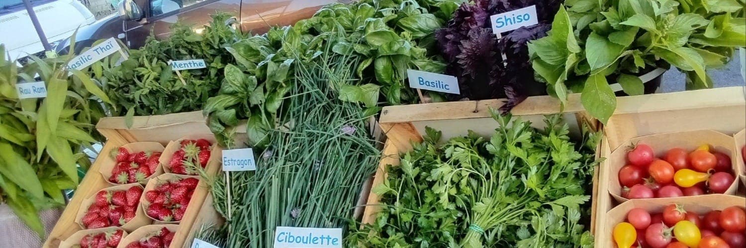 Bannière de AROMA'THINE