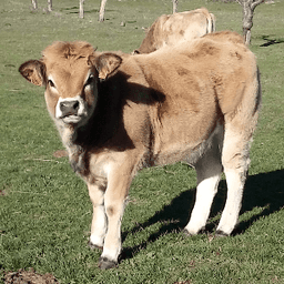 Ferme de Tallans Ferme de Tallans #7