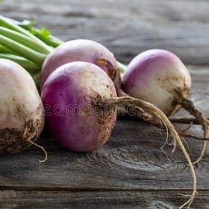 Navet violet
