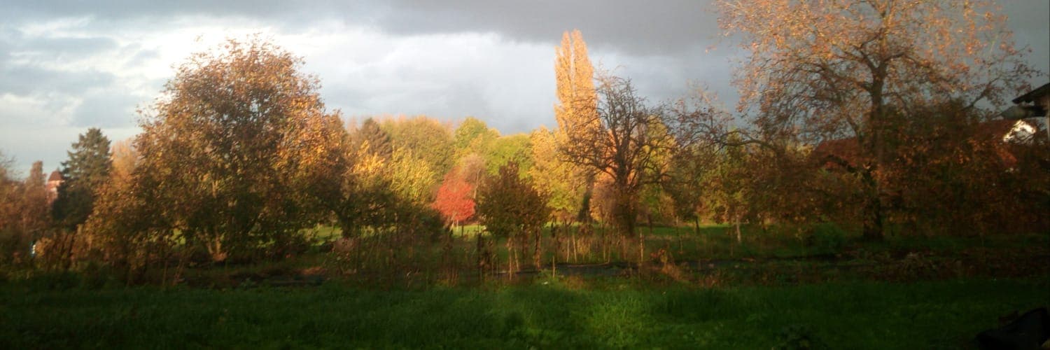 Bannière de Les jardins des mouchons